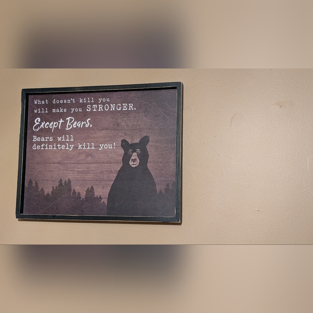 Hobby Lobby Black Bear Quote Wall Art